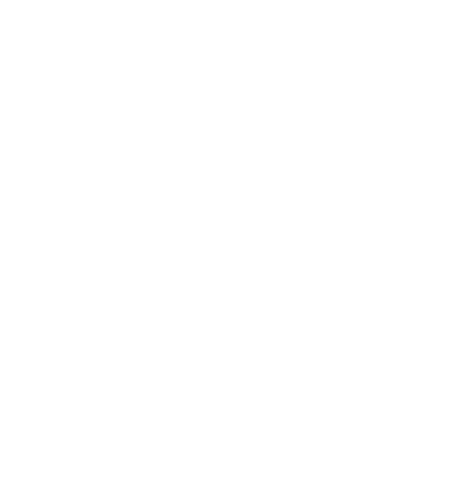 Chi's Burgers logo top
